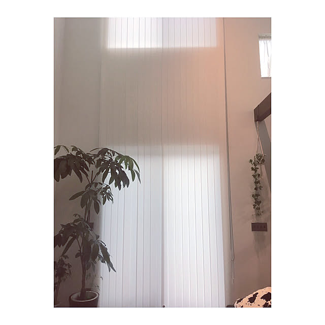 Yokoさんの実例写真
