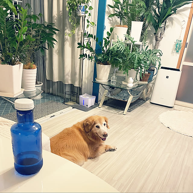 kanakoさんの実例写真