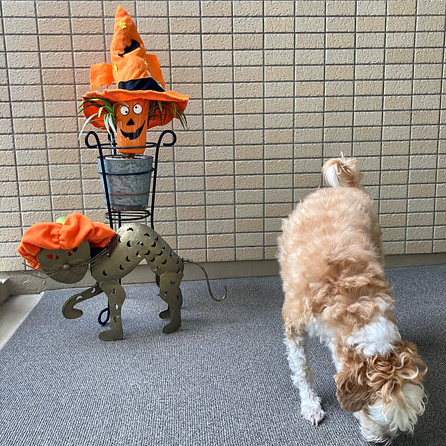 marukoさんの部屋