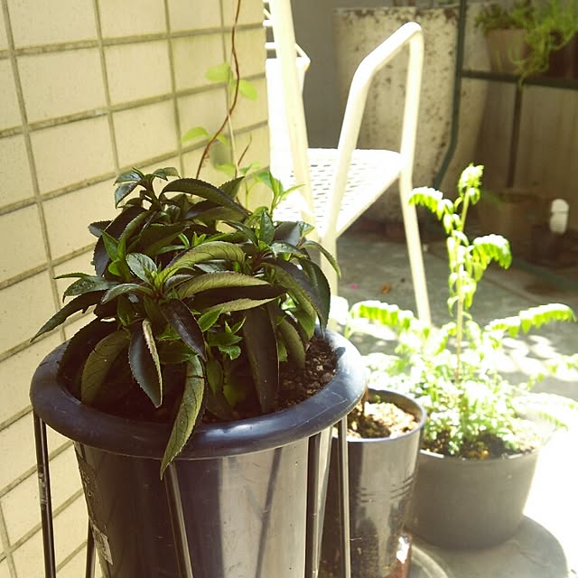 yuiticさんの実例写真