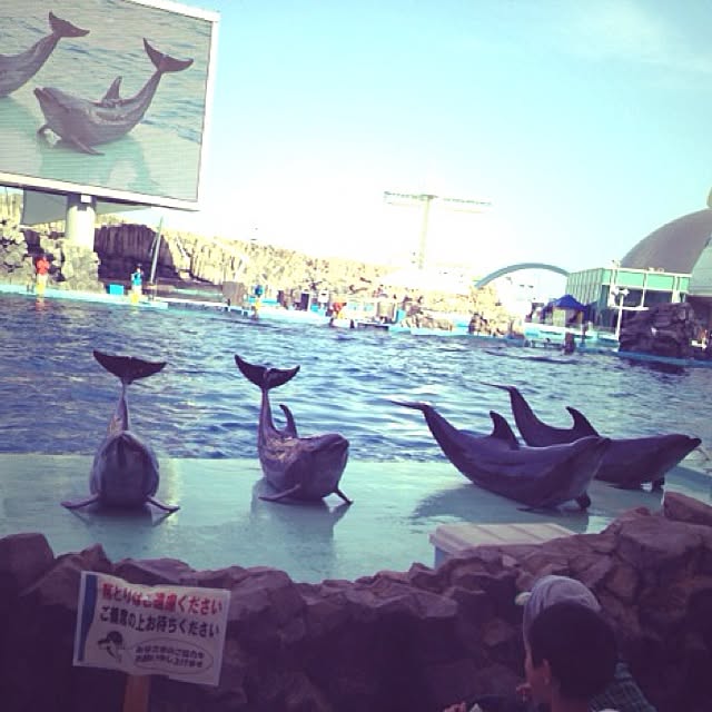 erimer_jamさんの実例写真