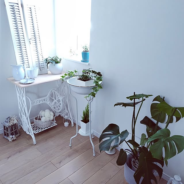 a.roseさんの部屋