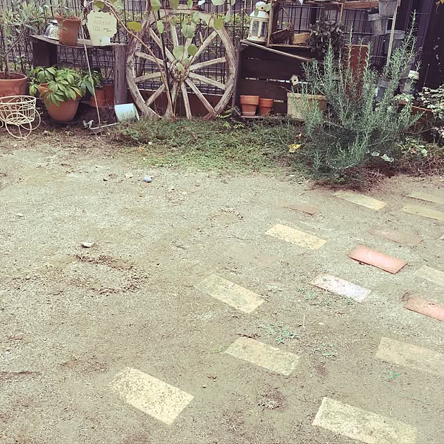 toraraさんの実例写真