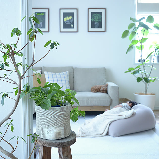 nico_home_igさんの実例写真