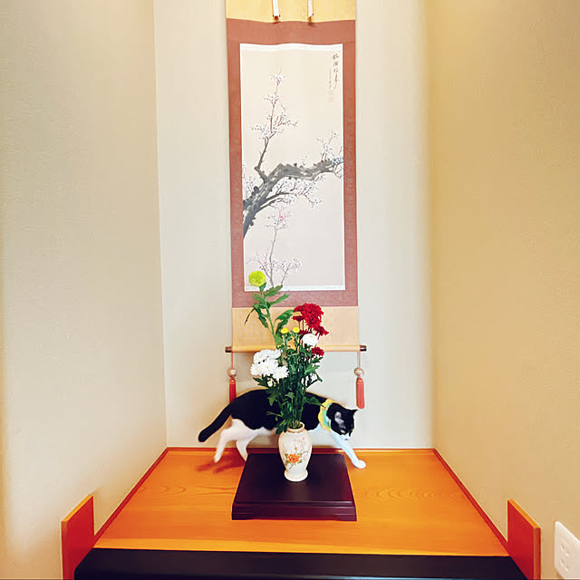 moolさんの部屋