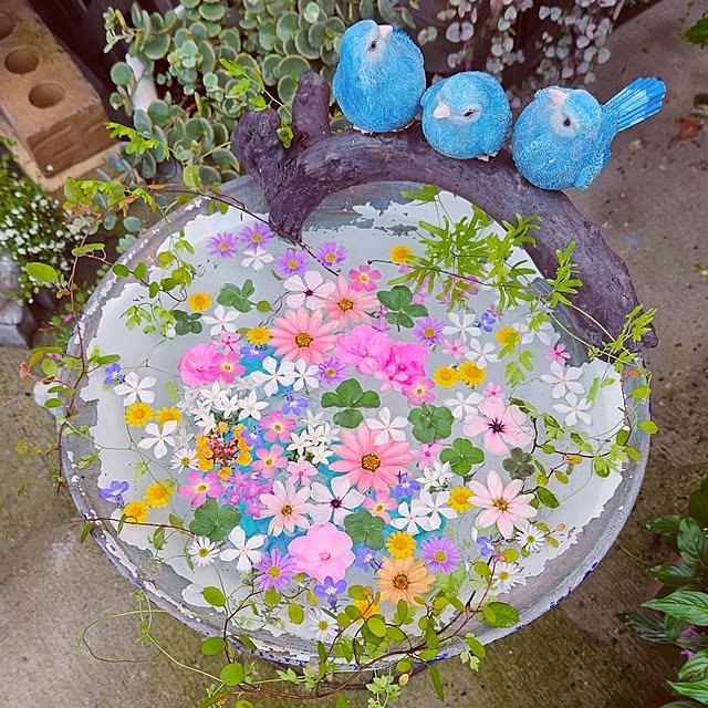 mocomocoさんの実例写真