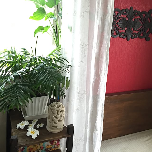 ayanamaさんの実例写真