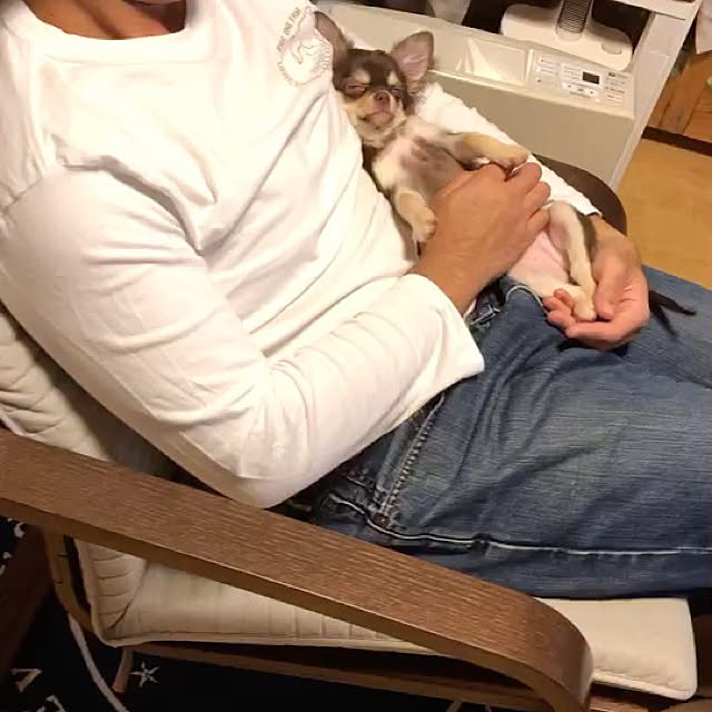 KMRさんの実例写真