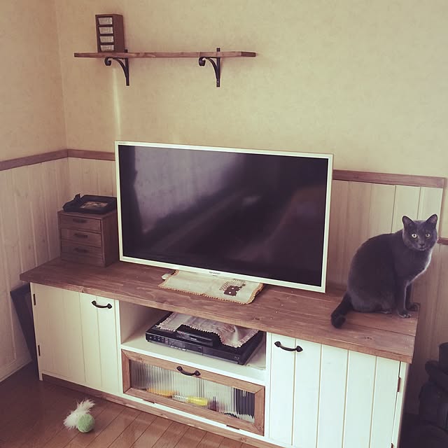 実例写真