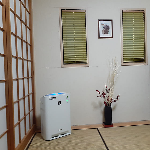 Johnmamaさんの実例写真