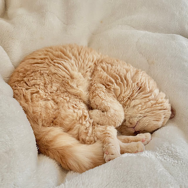 naokoさんの部屋