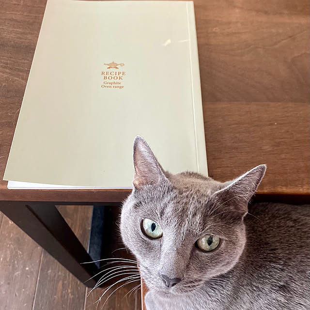 capelさんの部屋