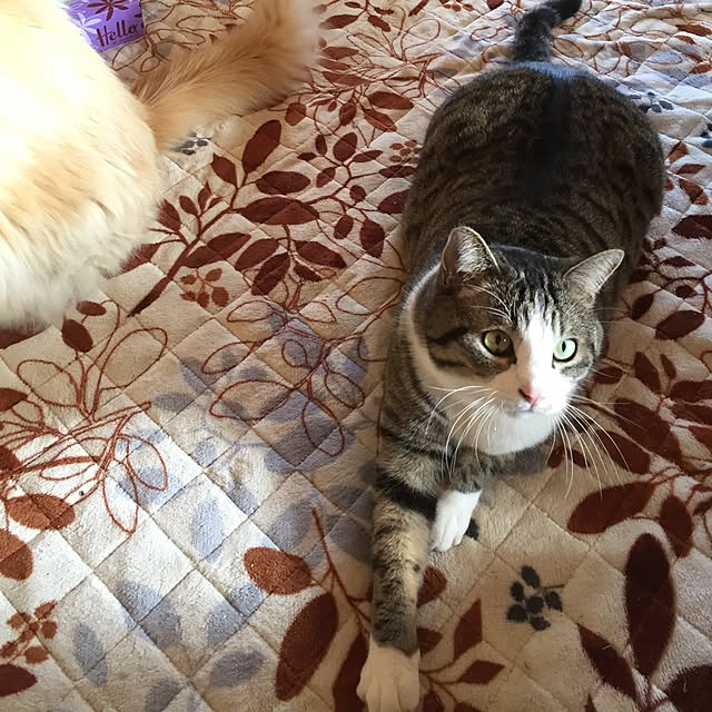 ofuさんの実例写真