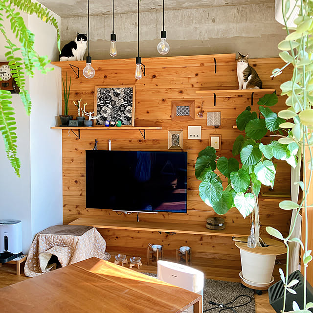 conmichanさんの実例写真