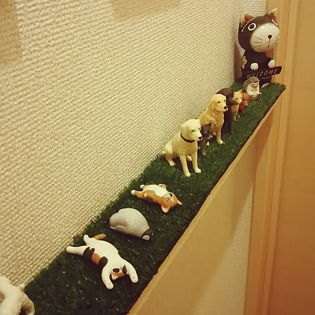 imoanさんの実例写真