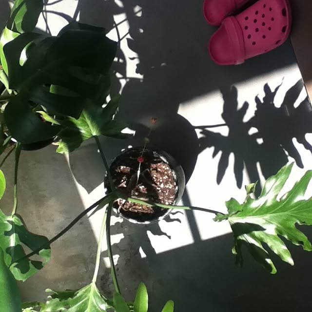 emichanbooさんの実例写真