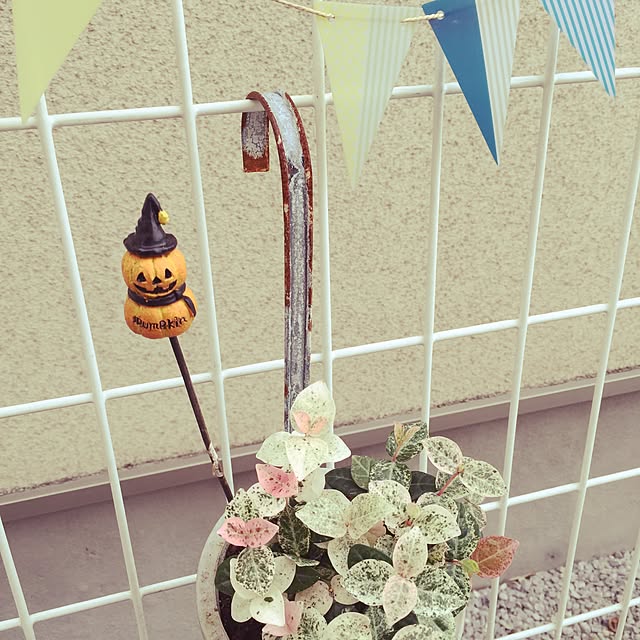 kinoさんの実例写真