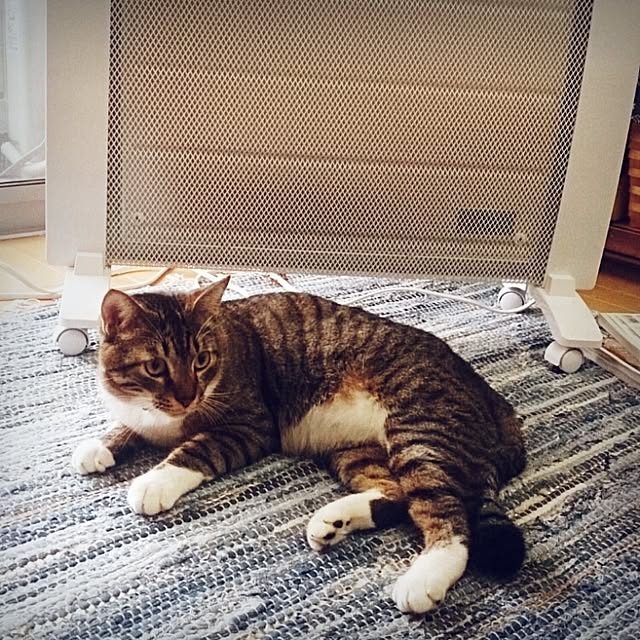 Lukiさんの実例写真