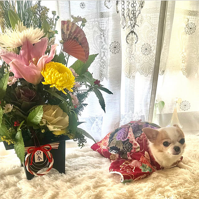 cocoさんの実例写真