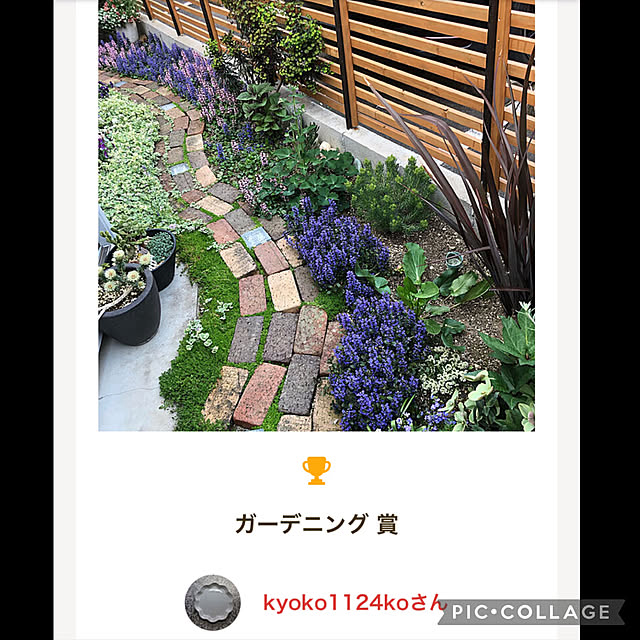 kyoko1124koさんの実例写真