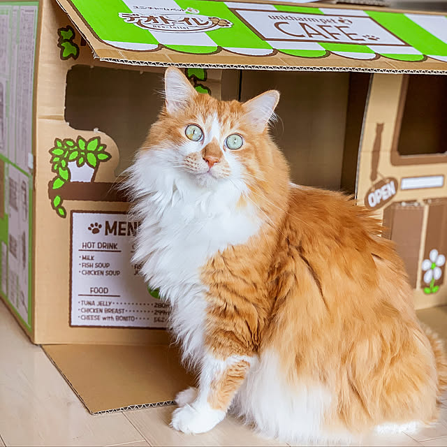 Reikoさんの実例写真