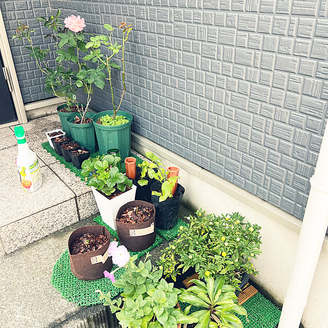 SquarePantsさんの部屋