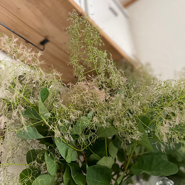nikoさんの部屋
