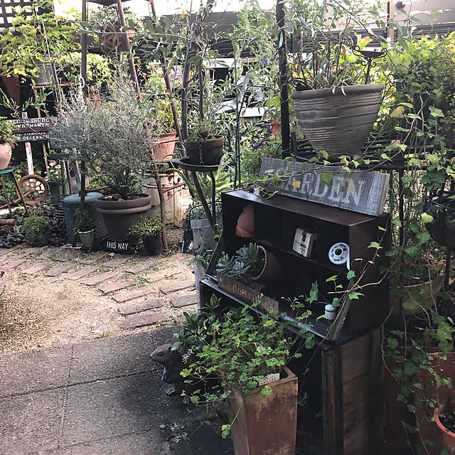 bibianさんの実例写真