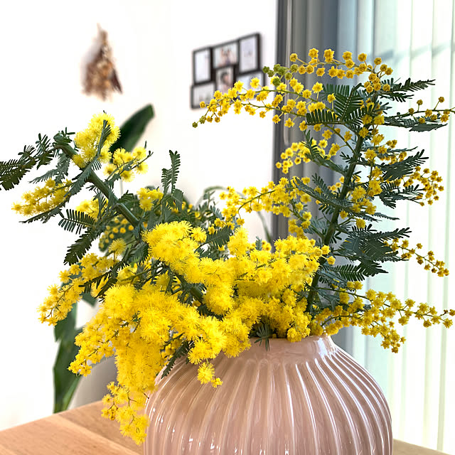 Maiko_homeさんの実例写真