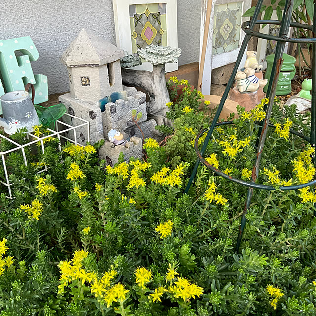 chiiyanさんの部屋