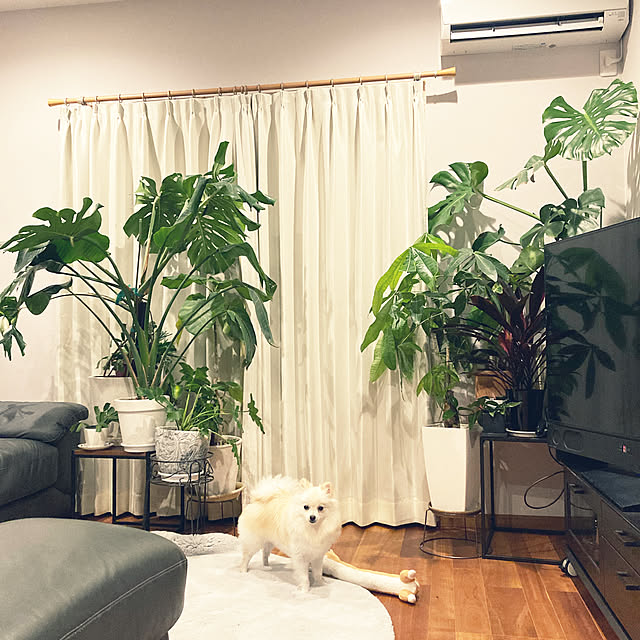 1546さんの実例写真