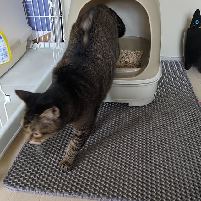 cocomintさんの部屋