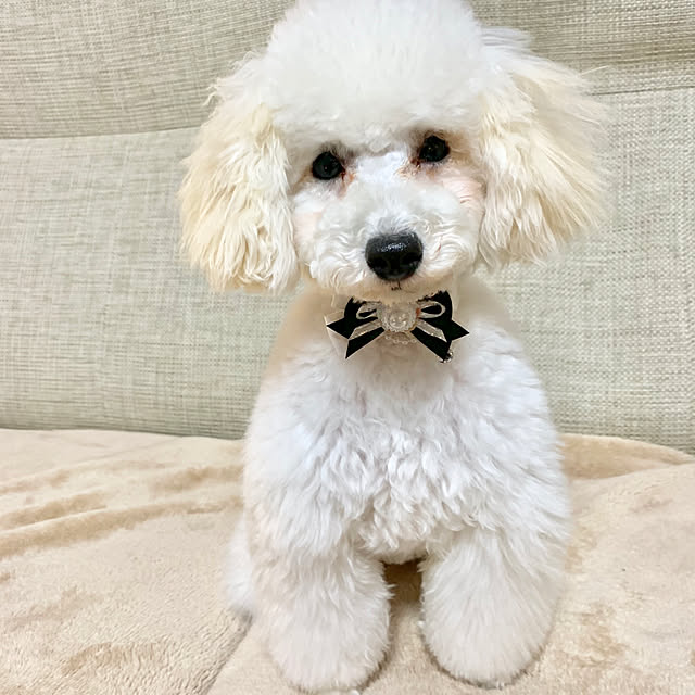 BUNさんの実例写真