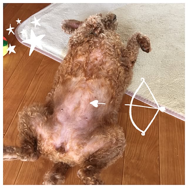 mikorinさんの実例写真