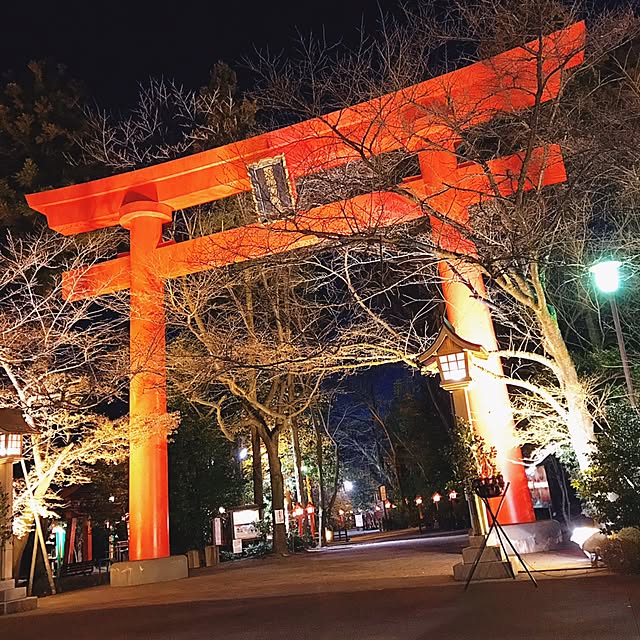 実例写真