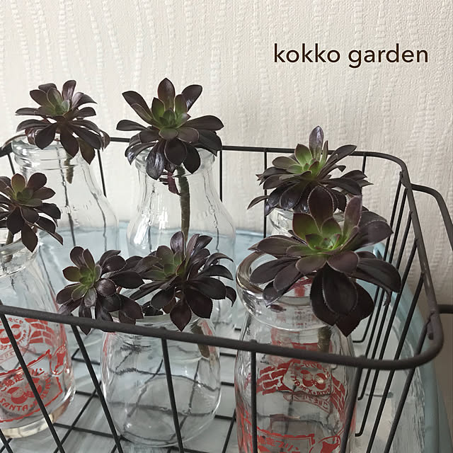 kokko3さんの実例写真