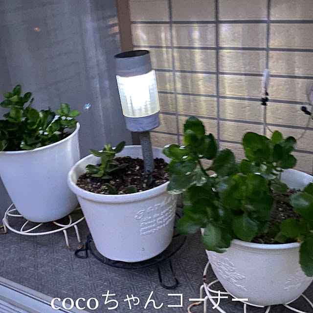 YuuKoさんの部屋