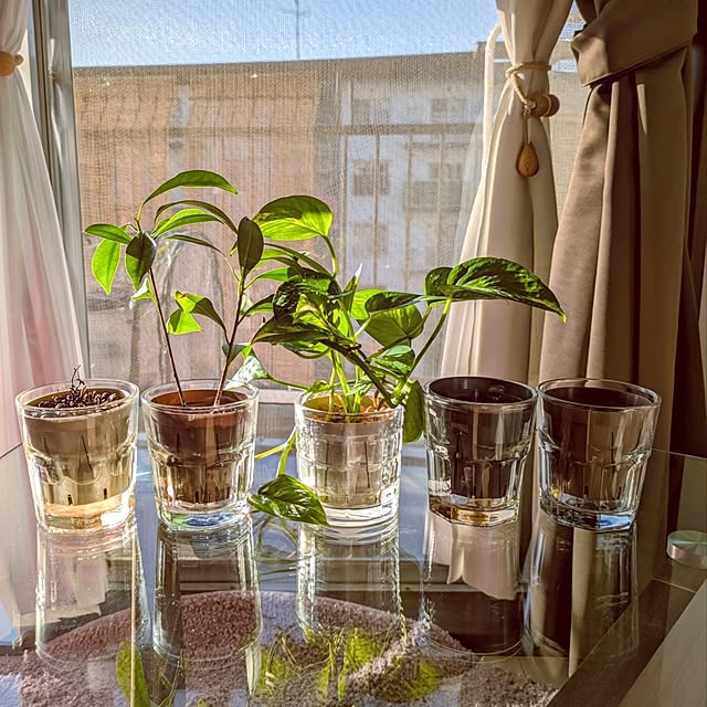 mi-saさんの実例写真