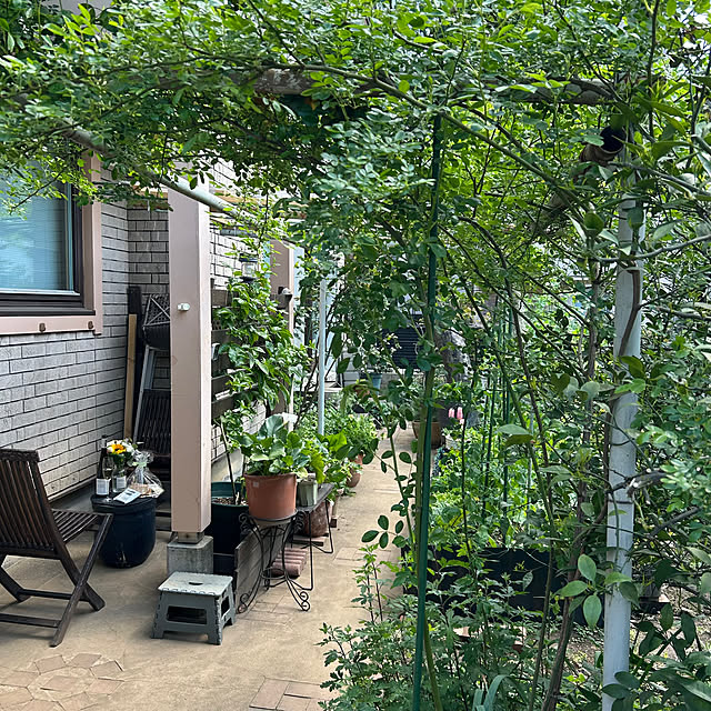 botanさんの部屋