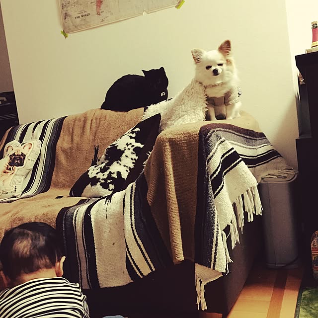 odaさんの実例写真