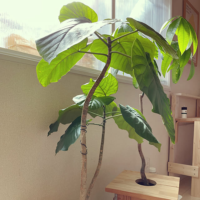 t-famさんの部屋