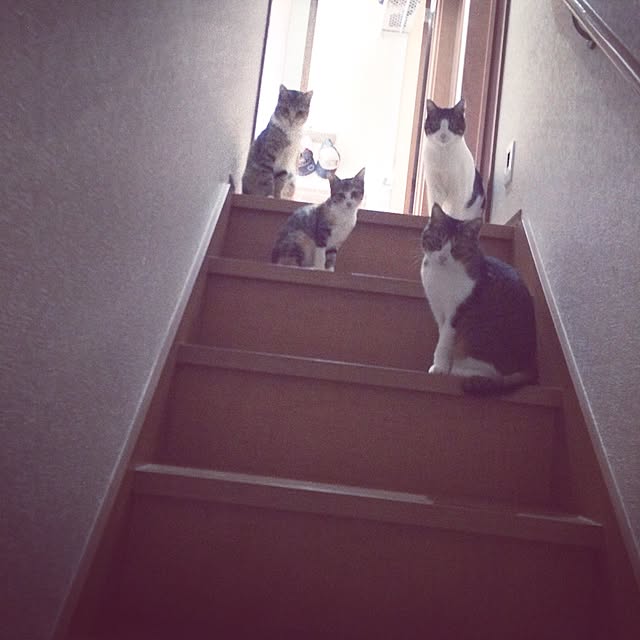 Mayさんの実例写真