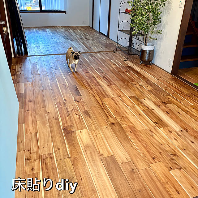 mid0konさんの実例写真