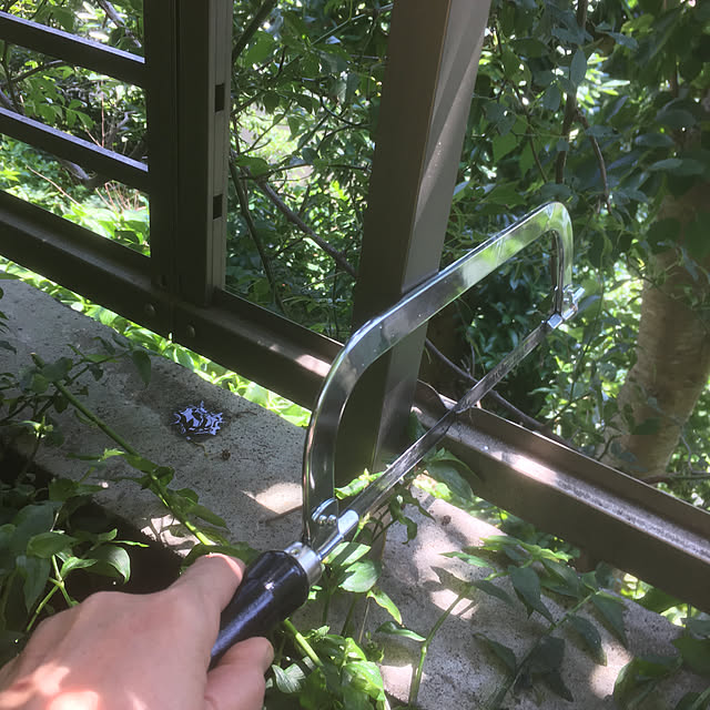 ayuさんの実例写真