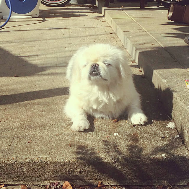 marimoさんの実例写真
