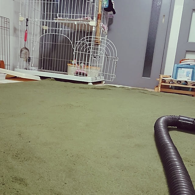 tobiさんの実例写真