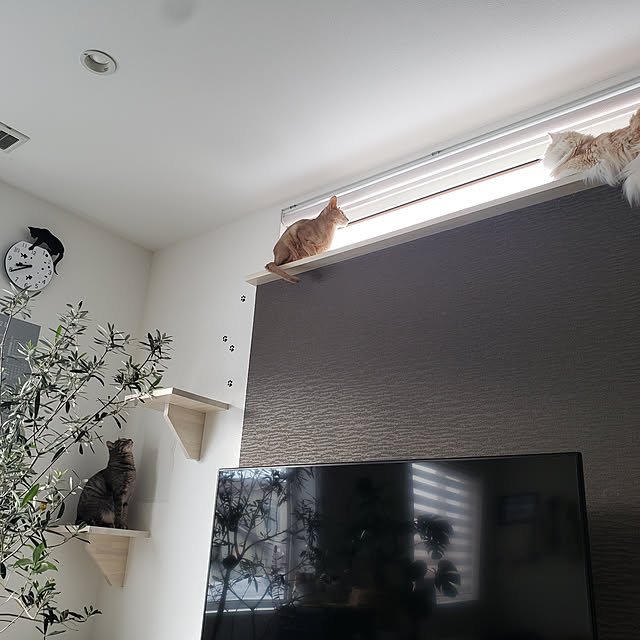 megu.catさんの実例写真