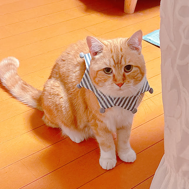 moolさんの部屋