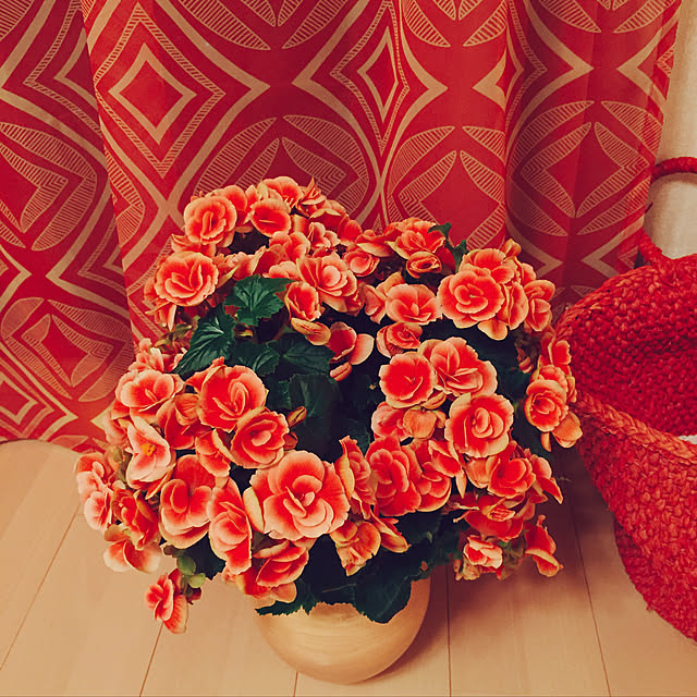 Tenさんの実例写真