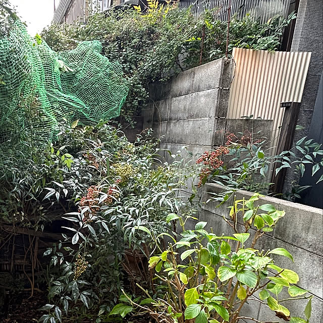 fumikoiさんの部屋